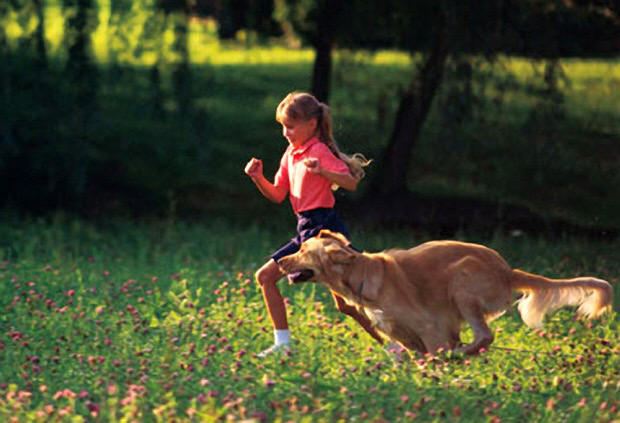 academyofdogtraining.com/20160613_kid_dog_camp.jpg