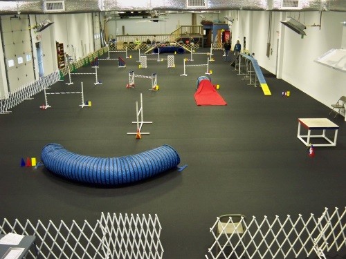 An example of an Agility Ring