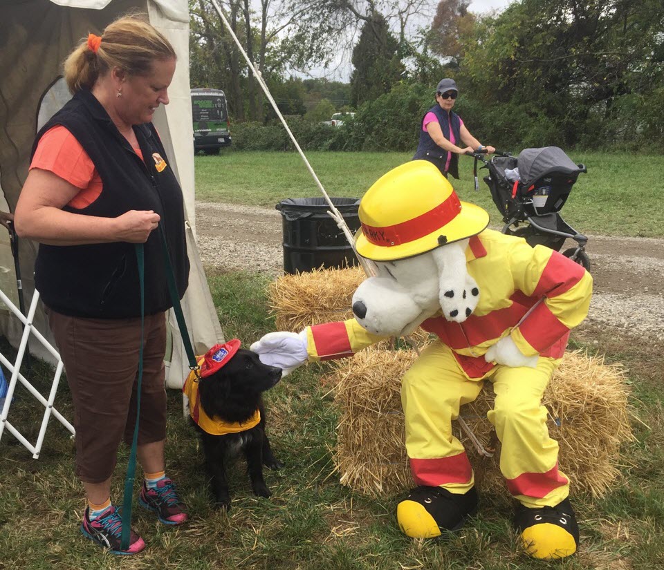 Outside events "Quina and Jake meeting Fire dog"