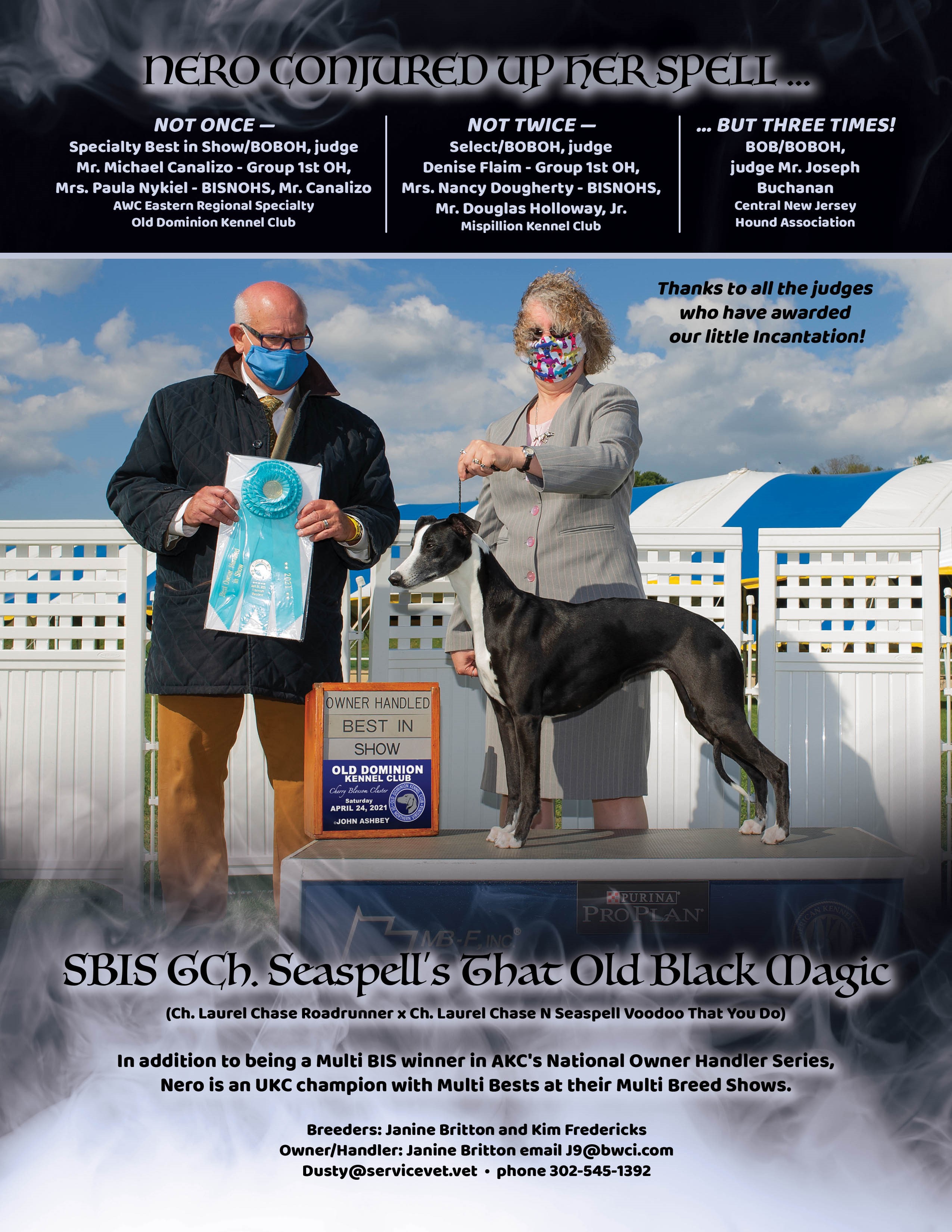 Janine with Nero, winning Best of Breed and Group Placement at the Suffolk County Kennel Club Show. Ad in the Whippet Review!