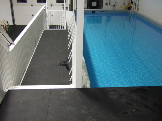 Click Here to Learn our Swimming Paws Pool at the Academy