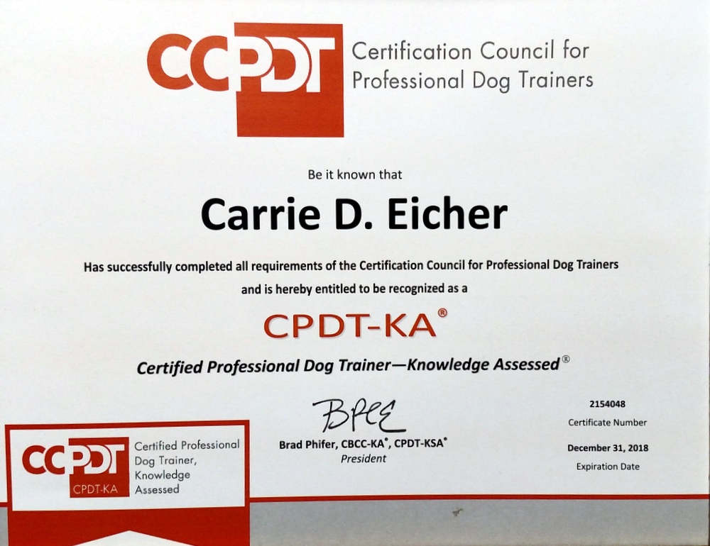Carrie is awarded with Certified Professional Dog Trainer - Knowledge Assessed