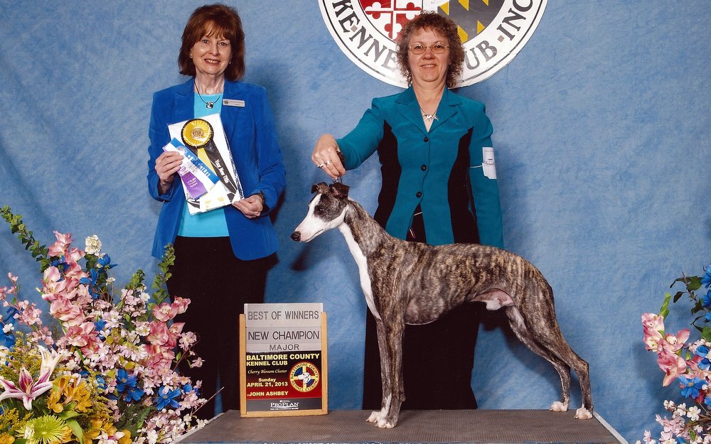 Janine with Rio, getting his 2nd major for his Championship